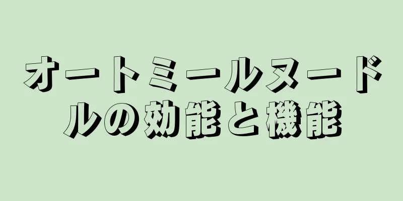 オートミールヌードルの効能と機能