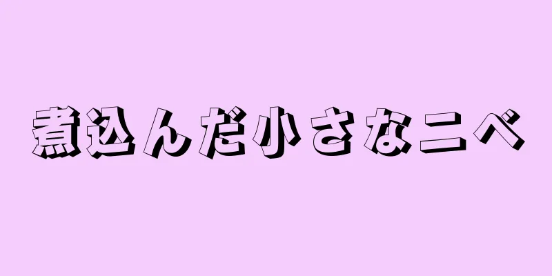 煮込んだ小さなニベ