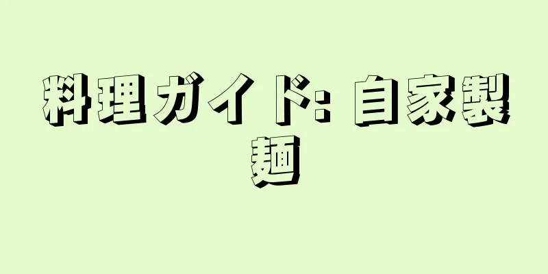 料理ガイド: 自家製麺