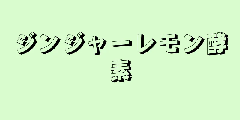 ジンジャーレモン酵素