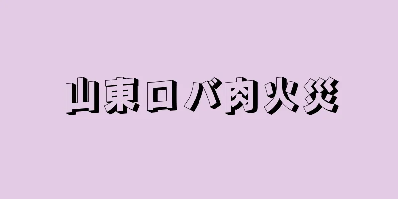 山東ロバ肉火災