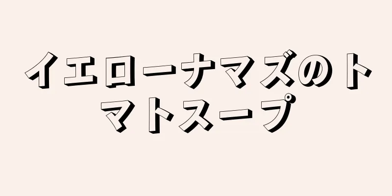 イエローナマズのトマトスープ