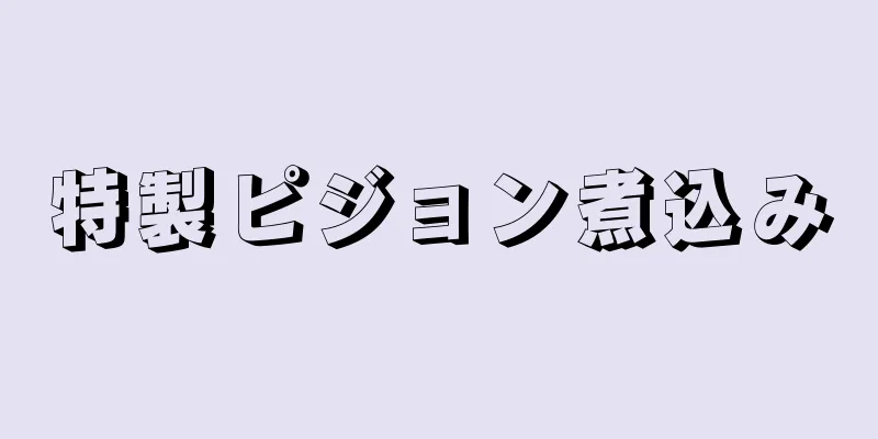 特製ピジョン煮込み