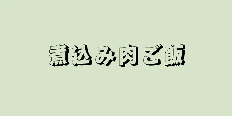 煮込み肉ご飯