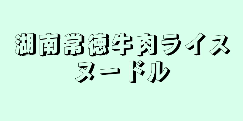 湖南常徳牛肉ライスヌードル