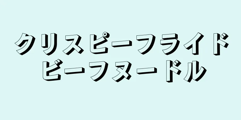 クリスピーフライドビーフヌードル