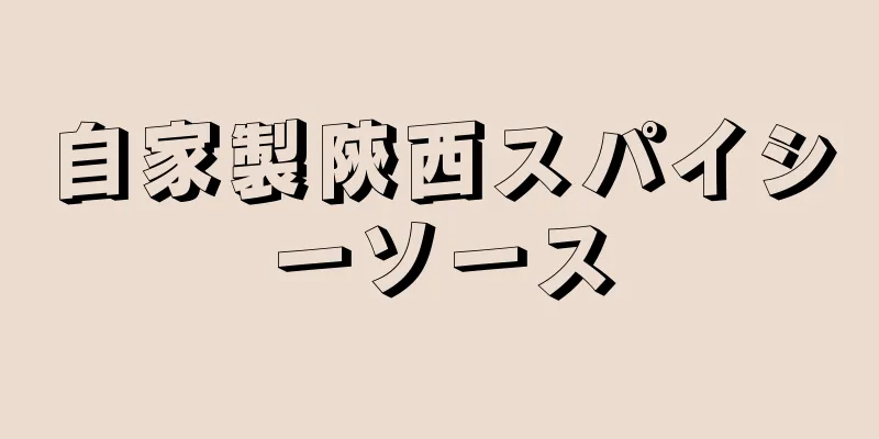 自家製陝西スパイシーソース