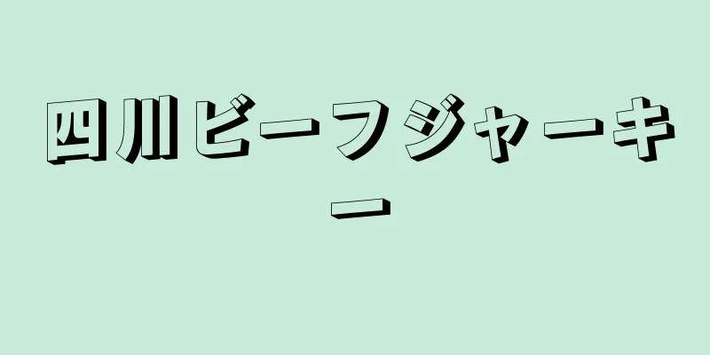 四川ビーフジャーキー