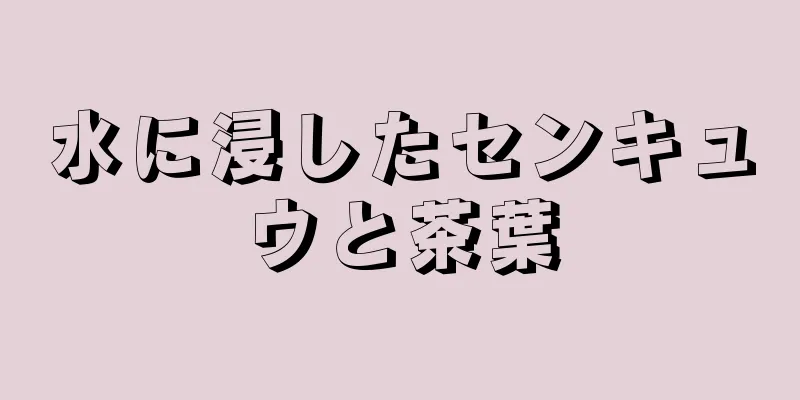 水に浸したセンキュウと茶葉