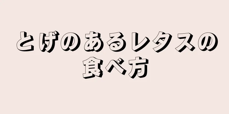 とげのあるレタスの食べ方