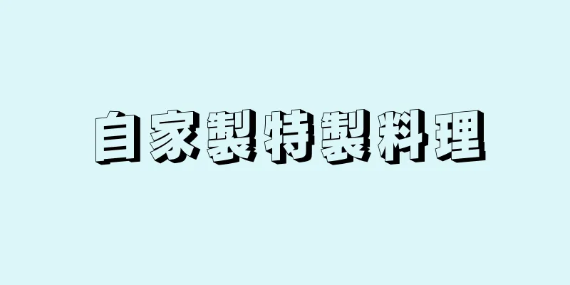 自家製特製料理