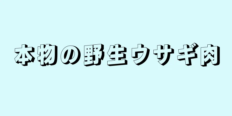 本物の野生ウサギ肉