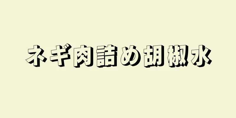 ネギ肉詰め胡椒水