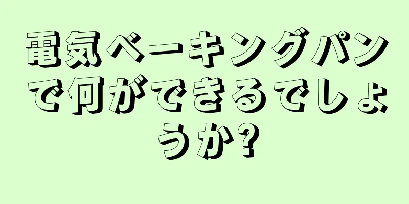 電気ベーキングパンで何ができるでしょうか?