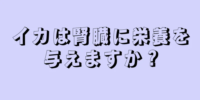 イカは腎臓に栄養を与えますか？