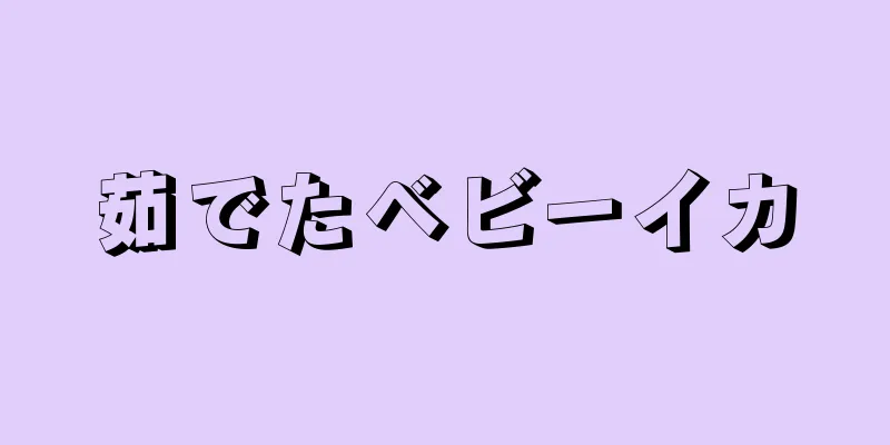 茹でたベビーイカ