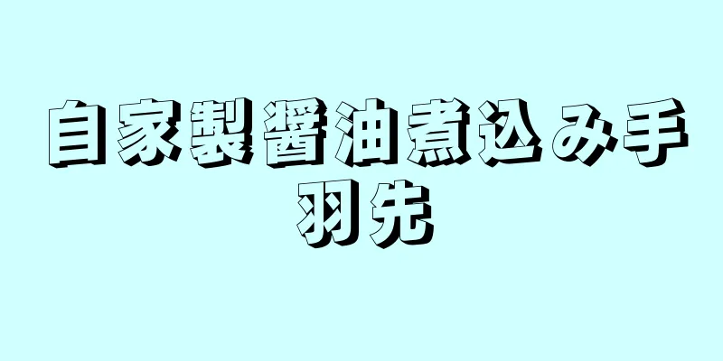 自家製醤油煮込み手羽先