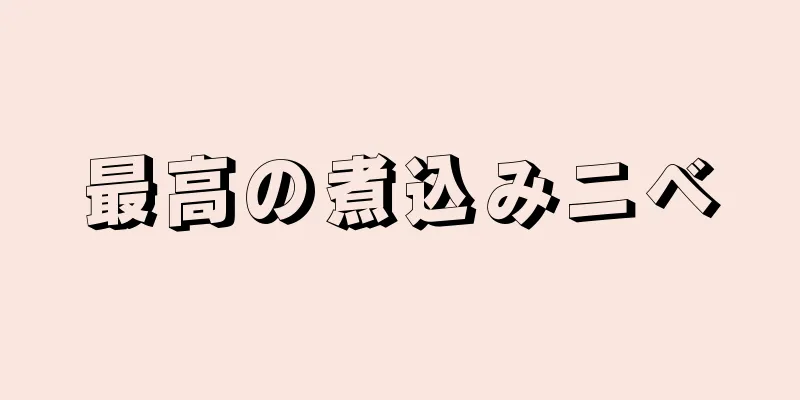 最高の煮込みニベ