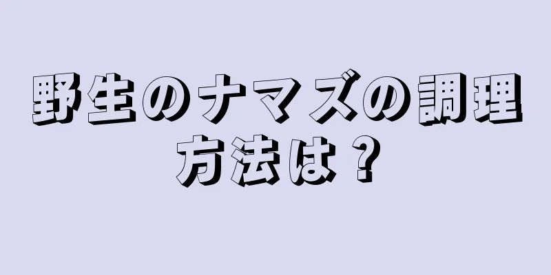 野生のナマズの調理方法は？