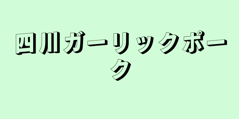 四川ガーリックポーク