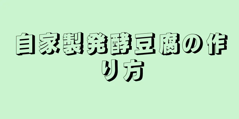 自家製発酵豆腐の作り方