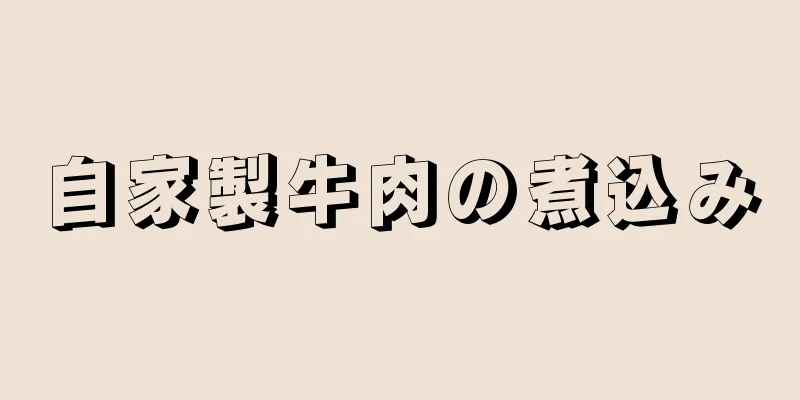 自家製牛肉の煮込み