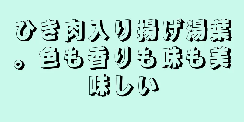 ひき肉入り揚げ湯葉。色も香りも味も美味しい