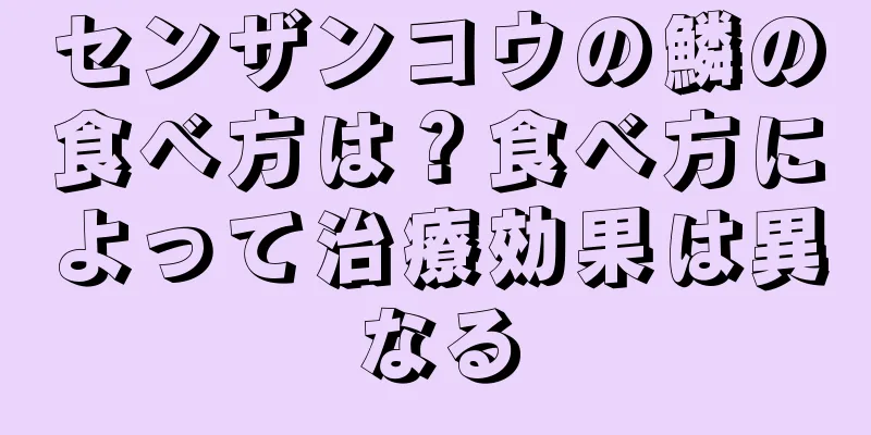 センザンコウの鱗の食べ方は？食べ方によって治療効果は異なる