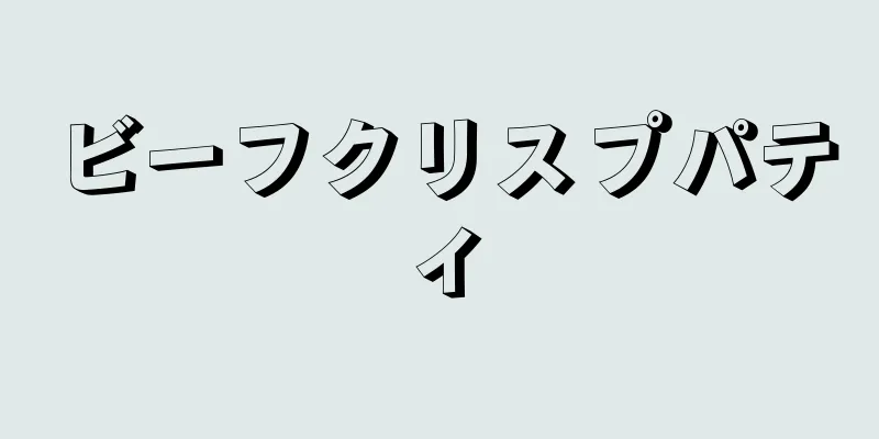 ビーフクリスプパティ