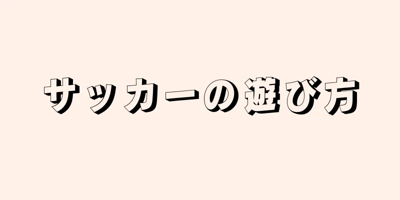 サッカーの遊び方