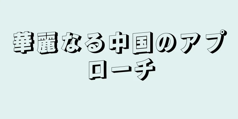 華麗なる中国のアプローチ