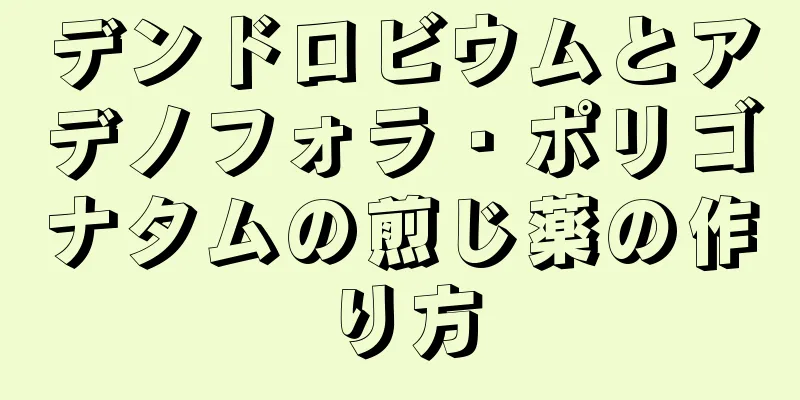 デンドロビウムとアデノフォラ・ポリゴナタムの煎じ薬の作り方