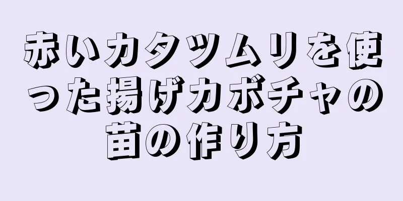 赤いカタツムリを使った揚げカボチャの苗の作り方