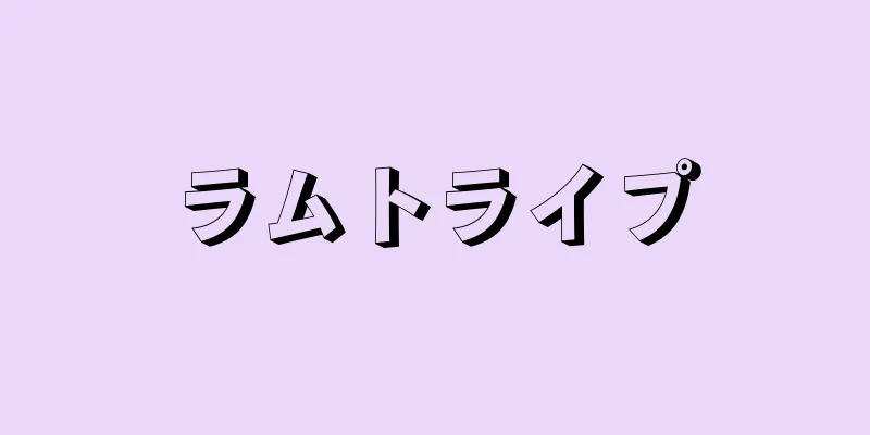 ラムトライプ