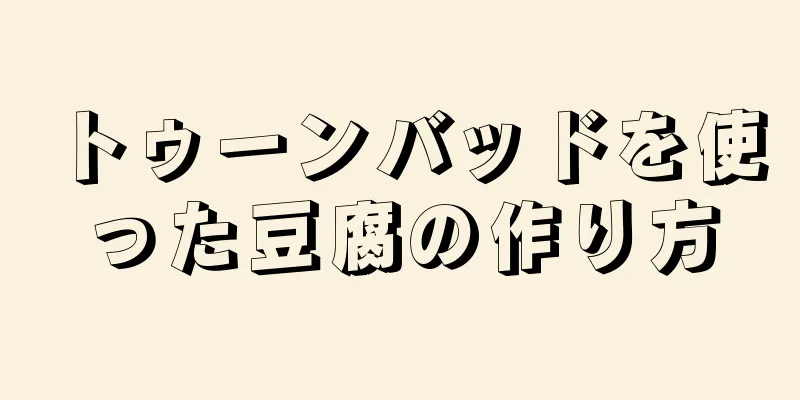 トゥーンバッドを使った豆腐の作り方