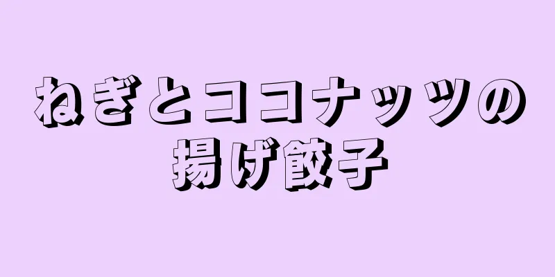 ねぎとココナッツの揚げ餃子