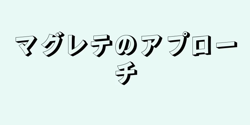 マグレテのアプローチ