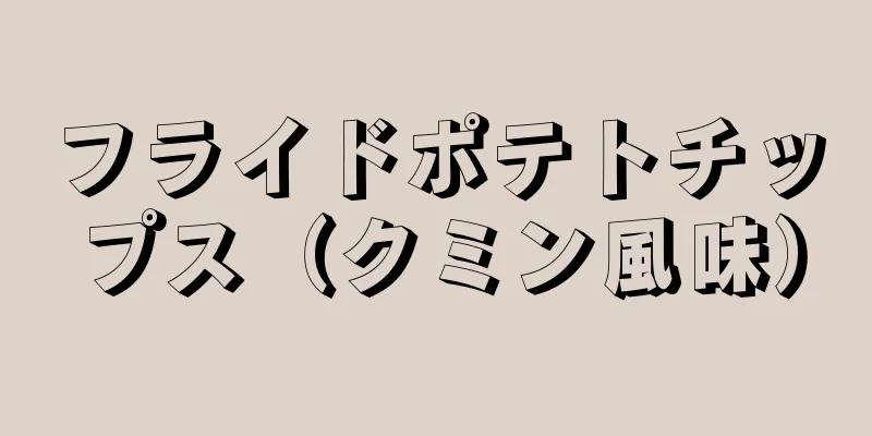 フライドポテトチップス（クミン風味）