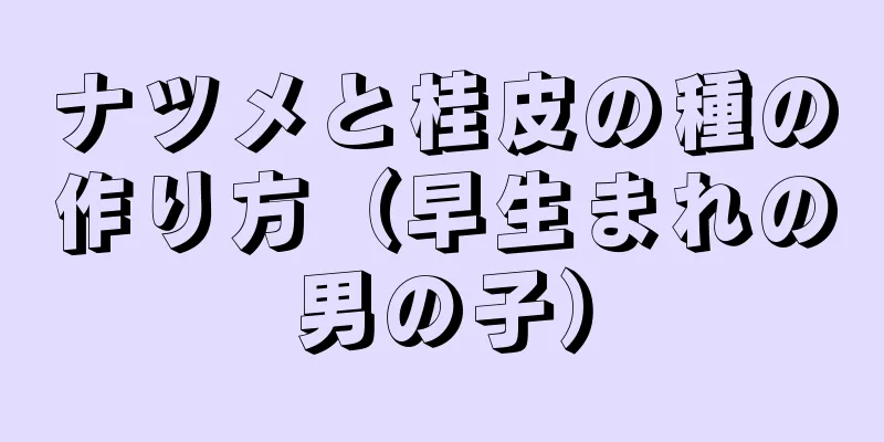 ナツメと桂皮の種の作り方（早生まれの男の子）