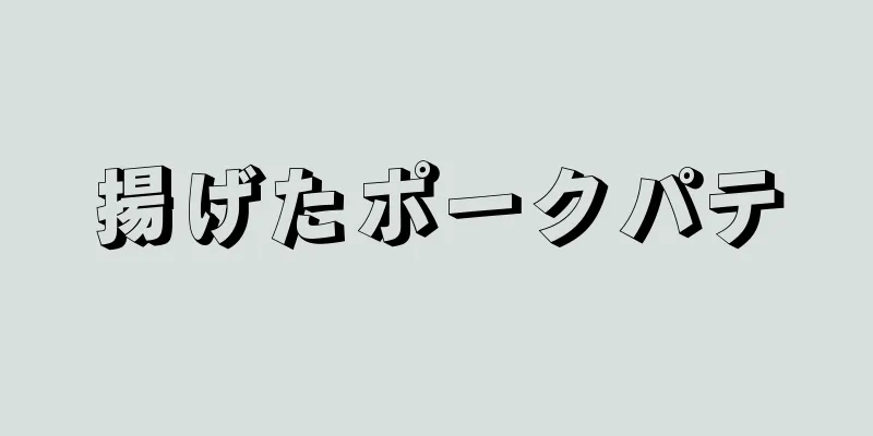 揚げたポークパテ