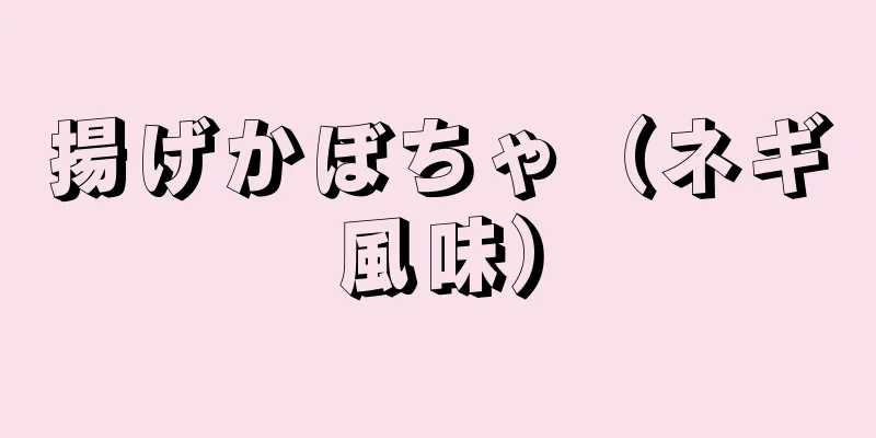 揚げかぼちゃ（ネギ風味）