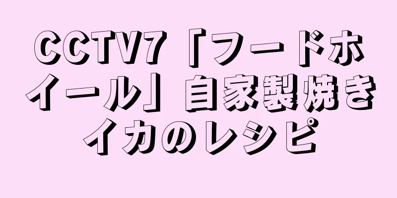 CCTV7「フードホイール」自家製焼きイカのレシピ