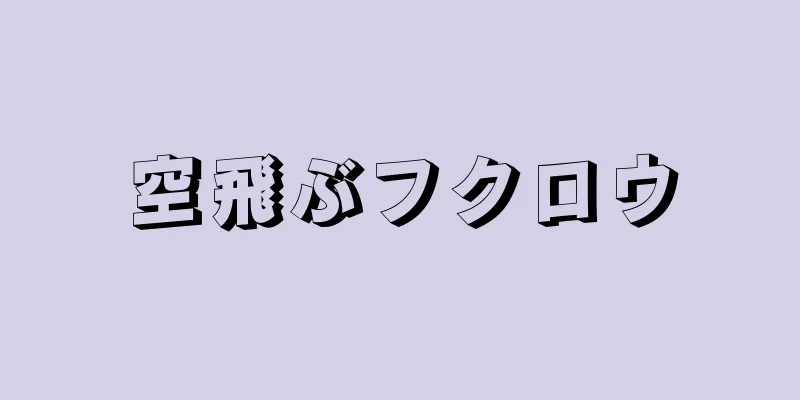 空飛ぶフクロウ