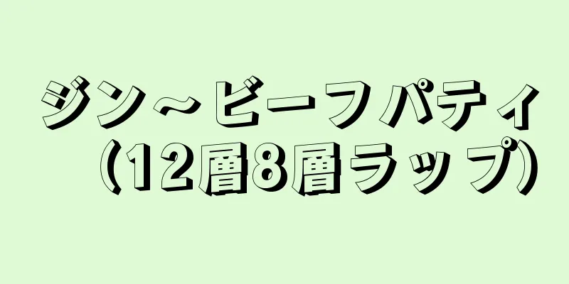 ジン〜ビーフパティ（12層8層ラップ）