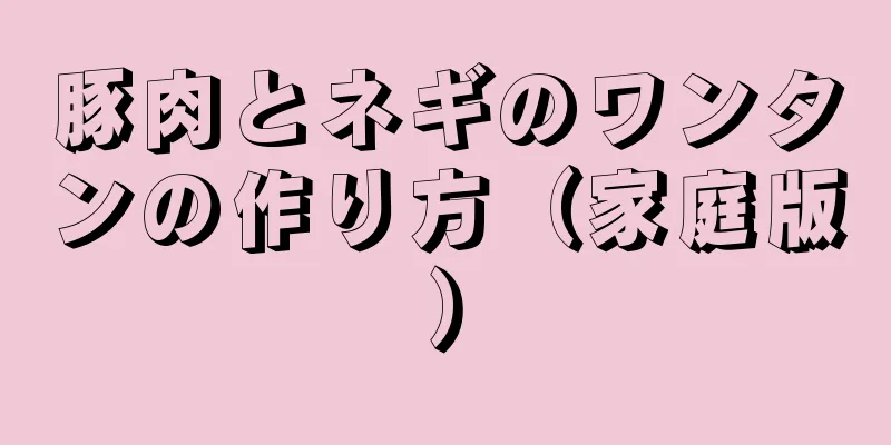 豚肉とネギのワンタンの作り方（家庭版）