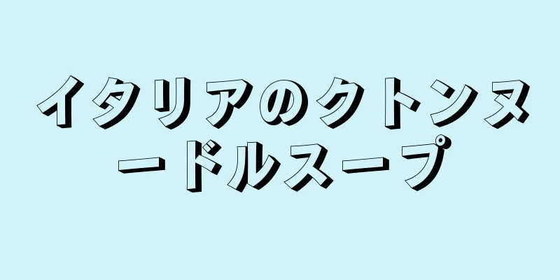 イタリアのクトンヌードルスープ