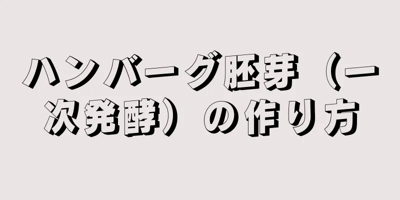 ハンバーグ胚芽（一次発酵）の作り方