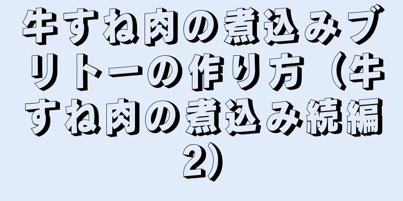 牛すね肉の煮込みブリトーの作り方（牛すね肉の煮込み続編2）