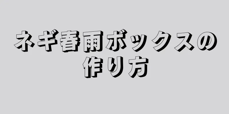 ネギ春雨ボックスの作り方