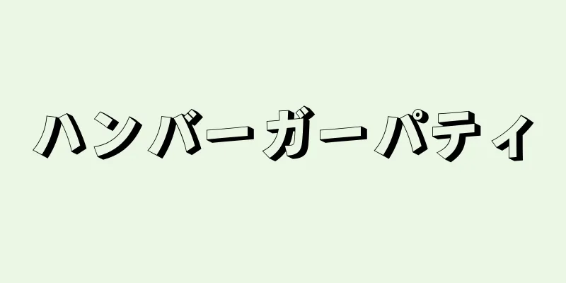 ハンバーガーパティ